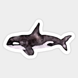 Watercolor Orca Sticker